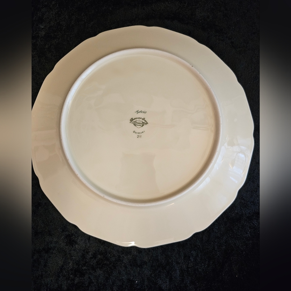 Set Of 4, Gorgeous Sylvia - Thomas Ivory Bavaria Dinner Plates - Picture 6 of 9